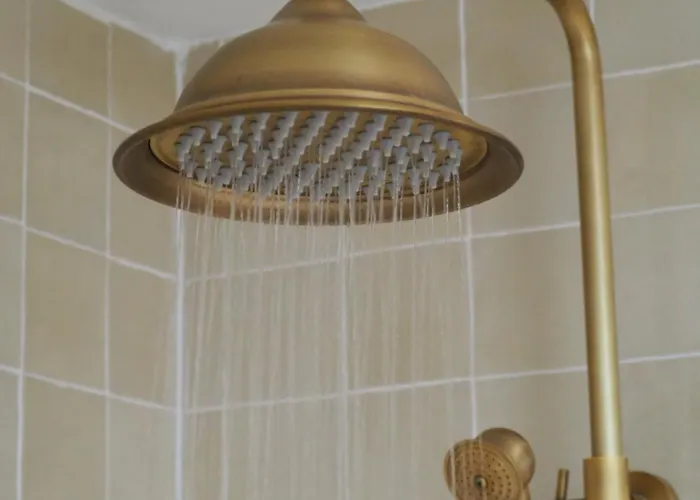 Plates Luxury D'hotes Et